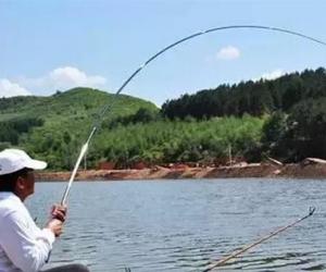 野釣幾個誤區，據說釣魚人都中了幾招