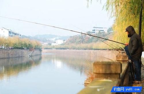 冬季稍稍設置下鯽魚技巧，收獲還是比較樂觀的！