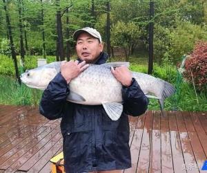 跑鉛釣、釣平水、幾目釣，你會用嗎？
