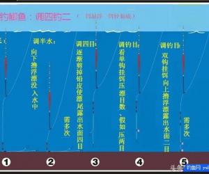 釣魚調漂到底調幾釣幾？