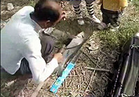 《垂釣對象魚視頻》 美女用海竿在河里釣獲大草魚