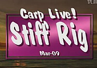 《垂釣對象魚視頻》釣鯉魚視頻水底拍攝揭秘鯉魚如何吃食