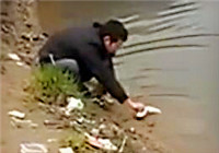 《垂釣對象魚視頻》 釣友自然水域野釣擒獲大鯉魚