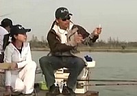 《垂釣對象魚視頻》鄧剛主講釣大鯽魚的技巧和方法