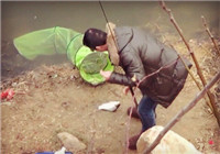 《垂釣對象魚視頻》 手竿傳統釣爆連大鯽魚