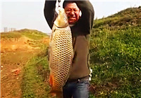 《垂釣對象魚視頻》 春季男子水庫海竿釣鯉魚