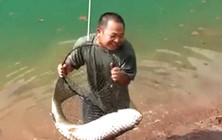 《垂釣對象魚視頻》 河邊拋竿成功釣獲大草魚