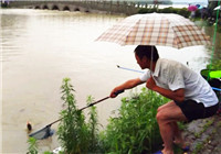 《垂釣對象魚視頻》男子九峰湖水庫釣獲鯉魚