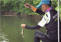 《釣技研》第8集 九曲勁水庫釣鯪魚之旅