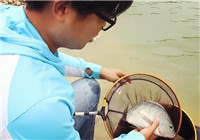 《釣技研》第6集 增城長冚水庫釣羅非魚 上篇