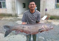 《釣行江湖》第1集 湖北武漢大江大湖野釣大青魚