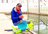 《坑冠之路》第33期 P哥分享釣魚餌料基礎調整方法（下）
