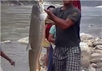 《釣友原創釣魚視頻》 男子用手繩釣獲河流巨物