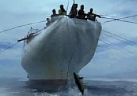 《釣友原創釣魚視頻》國外船釣金槍魚