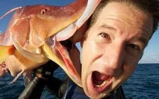 《釣友原創釣魚視頻》國外震撼釣魚視頻集錦