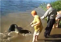 《釣友原創釣魚視頻》 俄羅斯大叔手把線釣大鯰魚