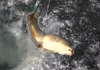 《釣友原創釣魚視頻》冬季水庫冰釣大魚