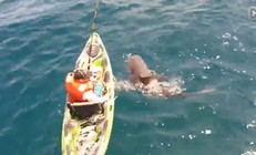 《釣友原創釣魚視頻》國外釣友乘獨木舟釣上鯊魚