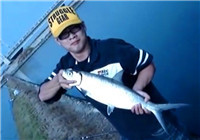 《釣友原創釣魚視頻》 男子夏季江河釣魚收獲黃尾鲴