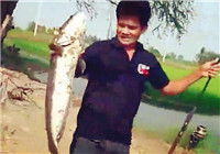 《釣友原創釣魚視頻》 夏季男子池塘海竿釣鯰魚
