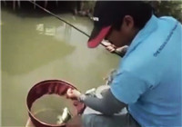 《釣友原創釣魚視頻》 男子黑坑拋竿釣魚連竿不斷