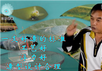 《釣友原創視頻》大師手把手教你挑選浮漂（上）