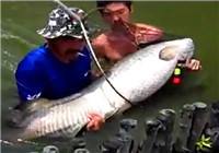 《釣友原創釣魚視頻》 男子江河釣到龐大巨骨舌魚
