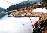 《釣友原創釣魚視頻》水庫手竿爽釣大青魚