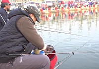 《釣友原創釣魚視頻》庫戰釣魚視頻 第9集 天冷釣黑坑(上)