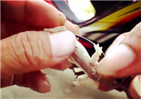 《釣友原創視頻》釣友使用小壁虎誘魚 小水溝里中獲鯰魚