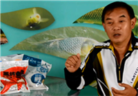 《釣友原創視頻》漆有光老師講解顆粒和紅蟲的用法