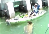 《釣友原創釣魚視頻》 釣到一尾比船還要大的石斑魚