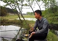 《釣友原創釣魚視頻》 野釣高手秋季手竿戰野塘