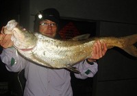 《釣友原創釣魚視頻》南京釣友釣獲大翹嘴