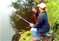 《釣友原創視頻》 男子河邊擒獲大魚