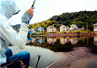 《釣魚實戰》 第39期 清淡味型避小魚，麥子水庫瘋釣鯽