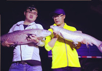 《游釣黑坑》 蘇州行之夜間作戰獵青魚