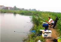 《釣友原創釣魚視頻》手竿臺釣鰱鳙魚的遛魚技巧