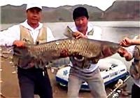 遼寧眾信特輯20100127期之鏖戰宮山咀
