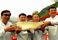 遼寧眾信特輯20120806期之鏖戰潘家口水庫