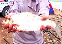 遼寧眾信特輯20150821期之《瘋狂垂釣68小時》02：魚兒愛上這味道