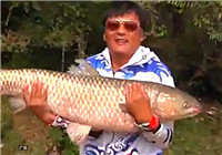 遼寧眾信特輯20170929期之眾信玉米，魚為之狂