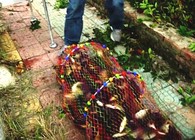 《東北漁事》 遼寧眾信忠實粉絲系列