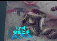 《東北漁事》遼寧眾信黑黃金顆粒黑坑搶魚爆連