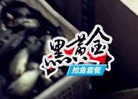 《東北漁事》遼寧眾信黑黃金搶魚套餐快捷使用方法