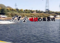《東北漁事》遼寧眾信黑黃金搶魚套餐挑戰白果黑坑