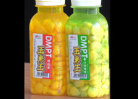 《東北漁事》遼寧眾信DMPT玉米王大物都瘋狂