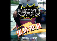 《東北漁事》遼寧眾信餌料黑坑新攻略麥芽糖黃面黑坑搶魚