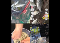 《東北漁事》遼寧眾信紅海哥海釣先鋒縱橫大海千谷道