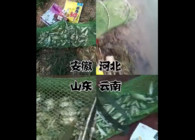 《東北漁事》遼寧眾信爆香鯽各地釣魚爆護配方管用